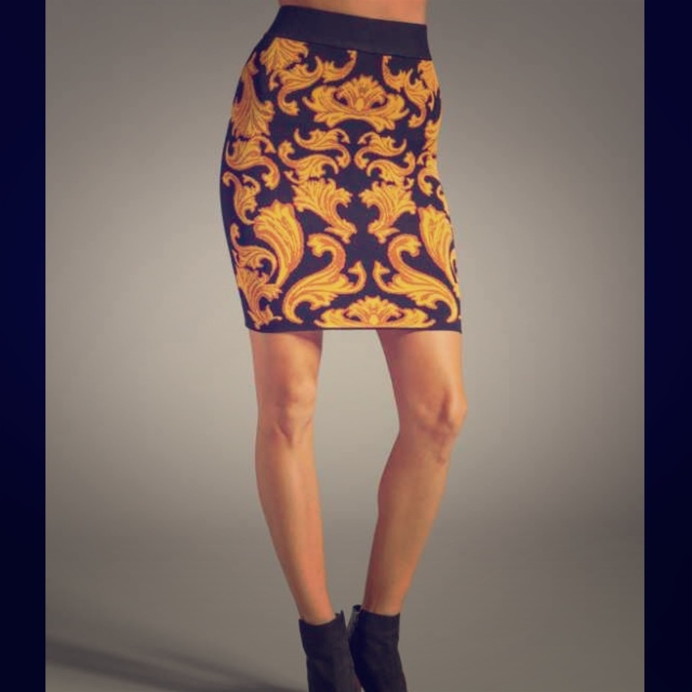 Torn by Ronny Kobo Celine Milano Jacquard Skirt